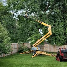 Best Tree Risk Assessment  in Gowanda, NY