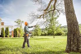 Best Tree Cabling and Bracing  in Gowanda, NY