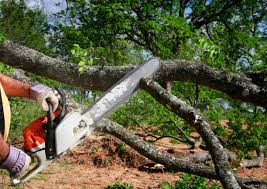 Best Mulching Services  in Gowanda, NY