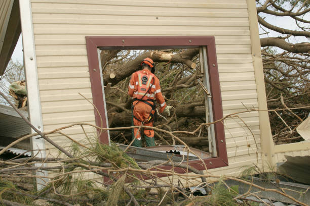 Best Seasonal Cleanup (Spring/Fall)  in Gowanda, NY
